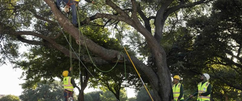 {SERVICE_NAME} project in Roanoke