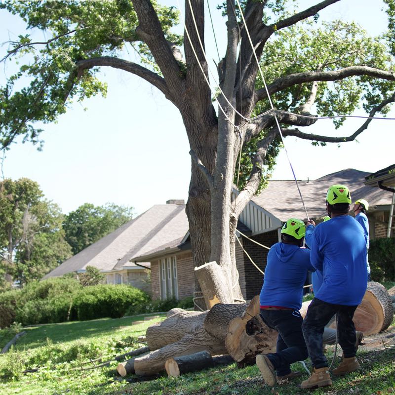 {SERVICE_NAME} project in Roanoke