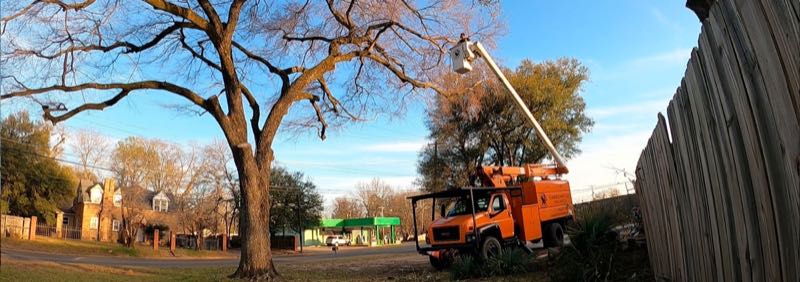 Storm Damage Cleanup in Roanoke